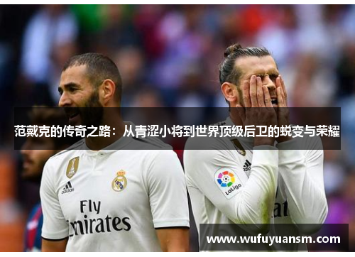 范戴克的传奇之路：从青涩小将到世界顶级后卫的蜕变与荣耀