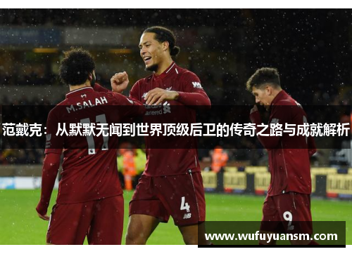 范戴克：从默默无闻到世界顶级后卫的传奇之路与成就解析